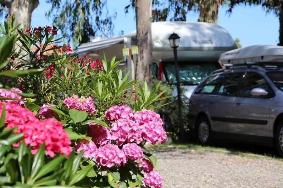 Parco Vacanze De Wijnstok, Imperia